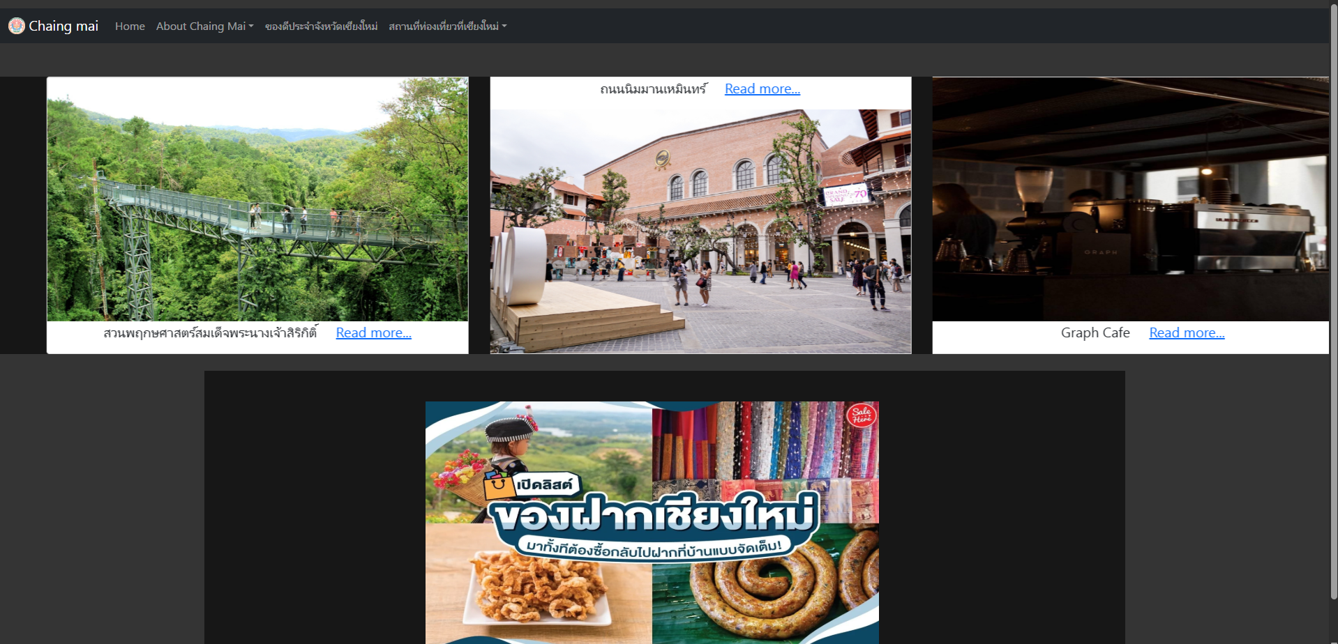Web Development Project
